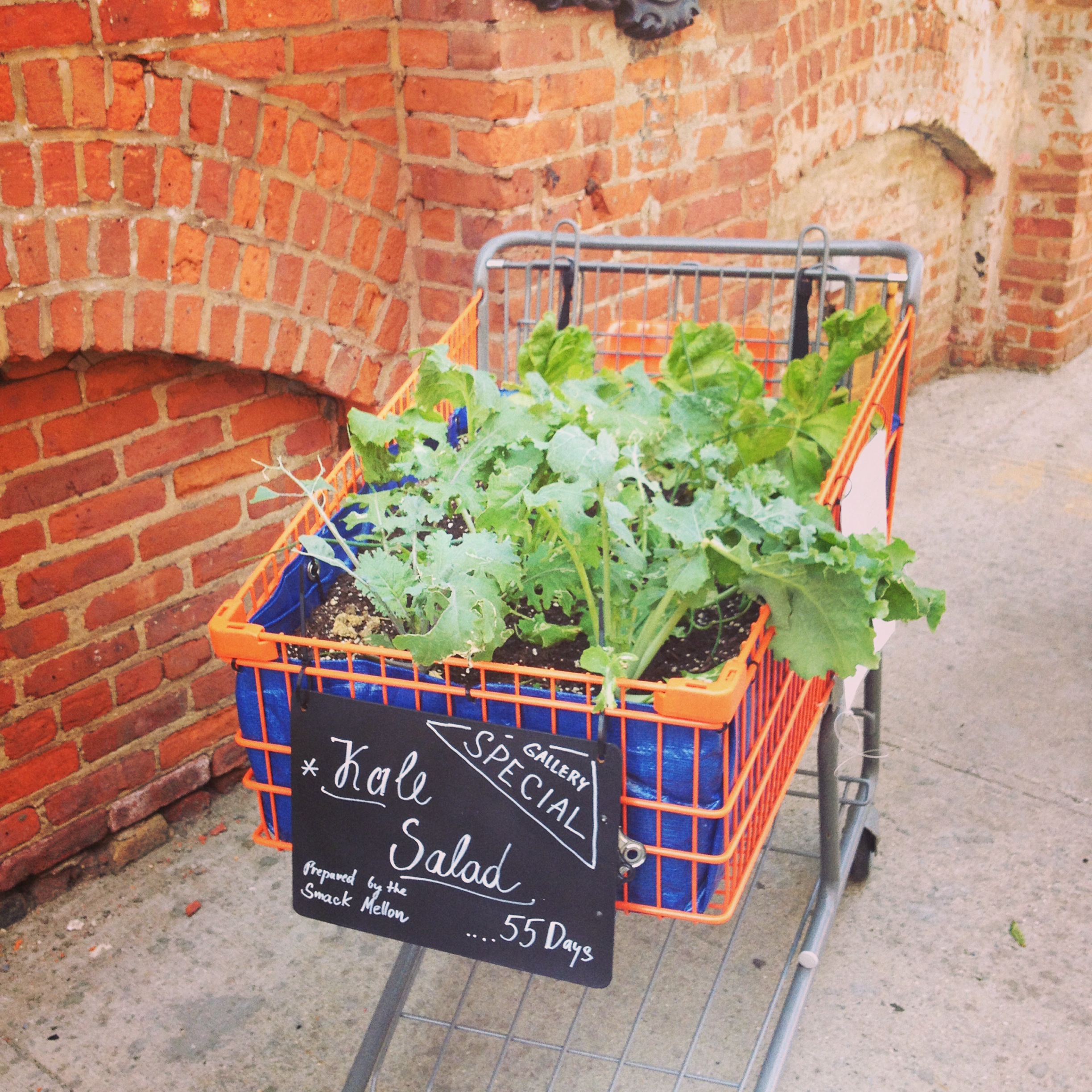 Installation at Smack Mellon's FOODShed exhibit, June 2014, Brooklyn NY